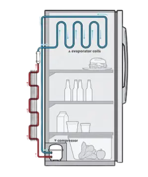 A Refrigerator diagram